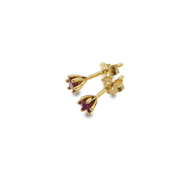 9ct Yellow Gold Ruby Stud Earrings